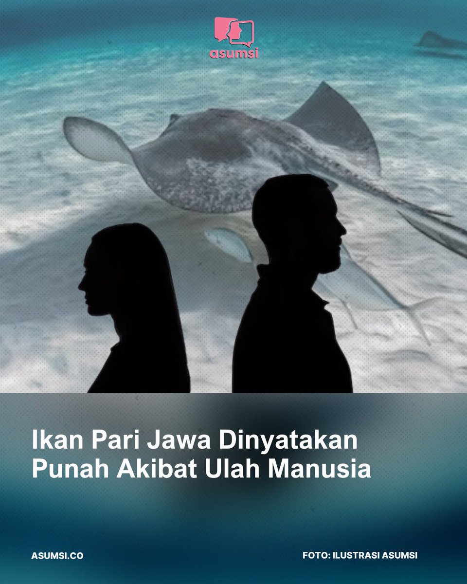 Ikan pari Jawa (Urolophus Javanicus) dinyatakan punah oleh tim internasional yang dipimpin oleh Charles Darwin University (CDU), Australia.