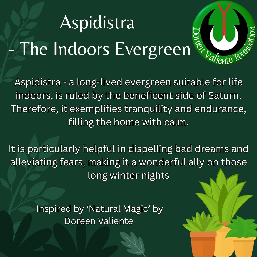 patreon.com/posts/aspidist…