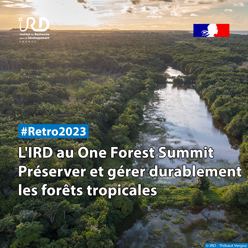 ird_fr's tweet photo. #RETRO2023 |🌳L’#IRD a confirmé son engagement pour la préservation des 3 grands bassins tropicaux du monde lors du #OneForestSummit

🔗En savoir + sur les recherches de l'IRD &amp; ses partenaires sur les #forêts:  https://t.co/sz3V1Ks9fy
@sup_recherche @francediplo @oneplanetsummit https://t.co/xyIIIpahB8