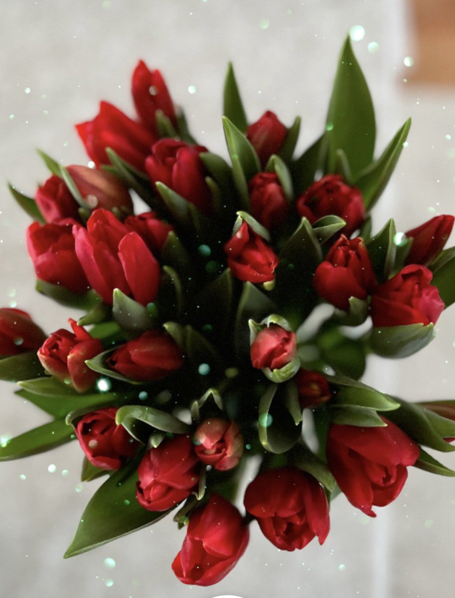 Rauhallista joulua ✨