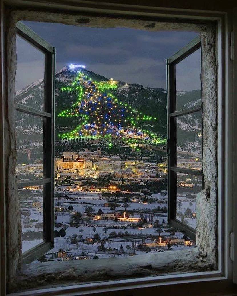 JamesLucasIT's tweet photo. In 1991, the Christmas Tree in the picturesque medieval city of Gubbio made its mark in the Guinness World Records: this monumental creation was declared “the world's largest Christmas tree”.

With a base spanning 450 meters and a towering height exceeding 750 meters, the tree covers an impressive area of approximately 130,000 square meters – equivalent to almost thirty soccer fields. 

Originally conceived in 1981, the tree comprises over 800 light fixtures strategically placed along the slopes of Mount Ingino. Each year, assembling this spectacular display requires 7,500 meters of electrical cables for connections and approximately 1,300 hours of labour.

In 2022, a significant step was taken to mitigate energy consumption: all the old lights were replaced with LED lights powered by photovoltaic panels, which contribute substantially to the energy demands during the lighting period.

📷: borgosantangelo/ufficiostampacomunegubbio