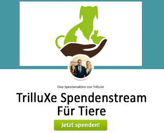 TrilluXe's tweet photo. Im letzten Charity Stream im #STREAMZEMBER 2023 sammeln wir für mehrere Organisationen, die sich für Tiere einsetzen! ❤️ 

Zur betterplace Spendenseite: https://t.co/saQuuVMvWx

Das wird der letzte lange Stream in diesem Jahr und neben MRE und Zuschauer-Paketen mit STEVE gibt es heute auch noch 60 Seconds und eine CS2 Win Challenge, macht euch also rein da! 😄

https://t.co/u6xxmvBJGf