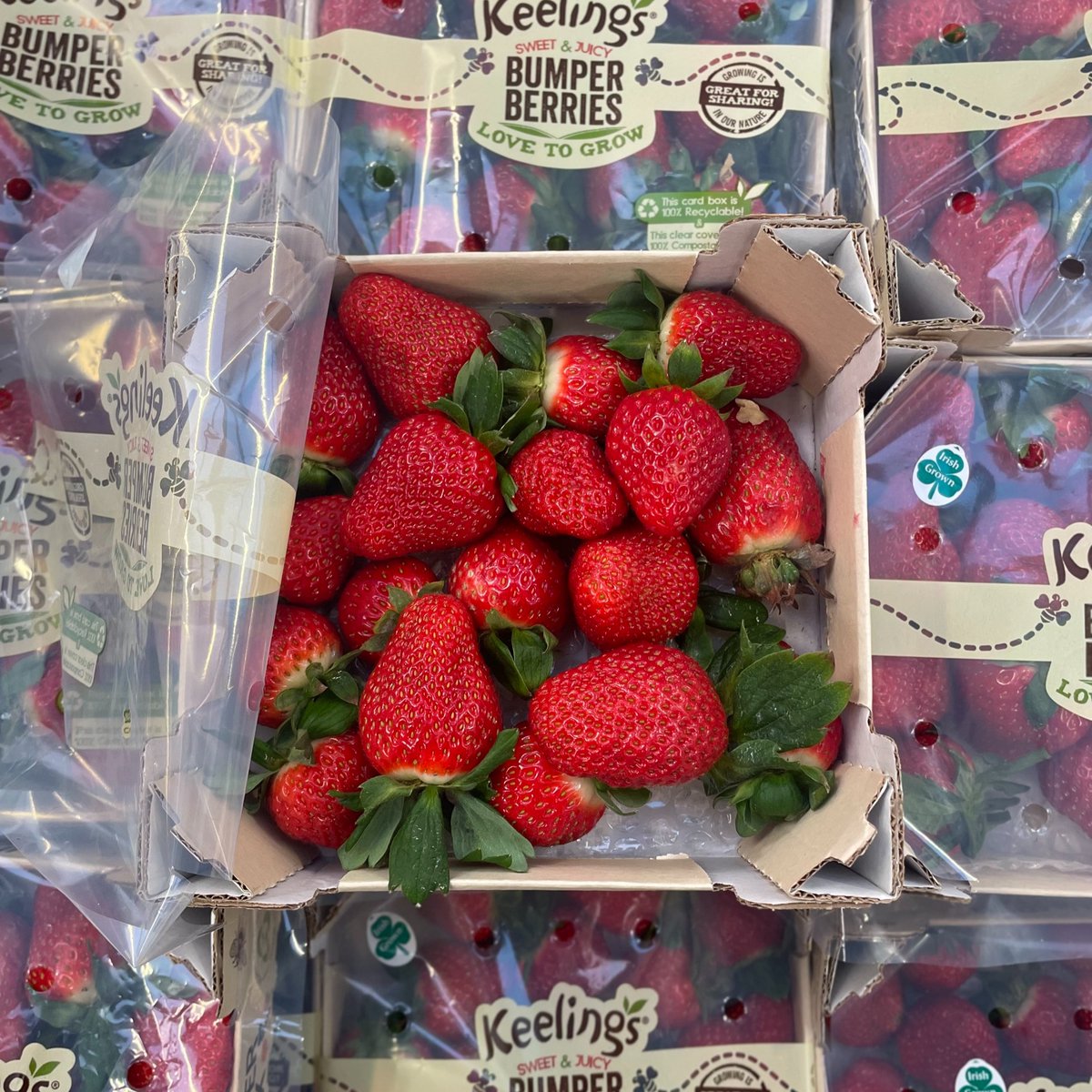 Taste the authentic sweetness of Keelings Irish strawberries in December, exclusively at our farm shop! 🍓 Grown under an LED light, these berries are a burst of genuine flavour. Genuinely Irish, irresistibly sweet. 🌟🚜 
#KeelingsStrawberries #FarmFresh #IrishStrawberries