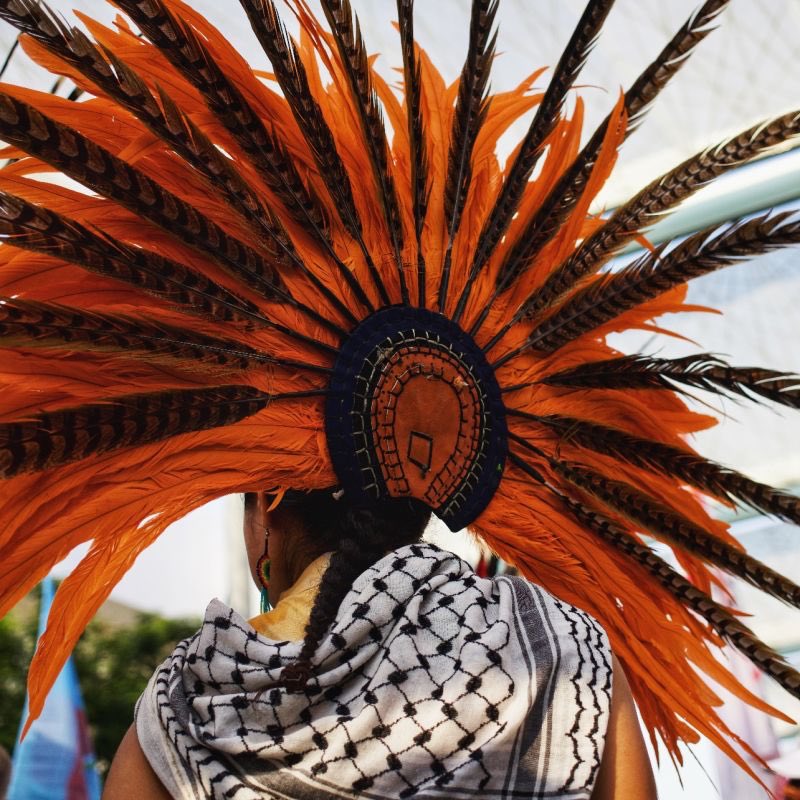 saker صقر tweet media