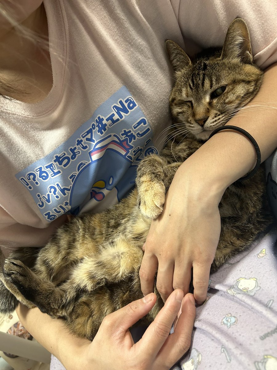 mkran416's tweet photo. ヘイトばかり溜めているけど彼��と猫のおかげでどうにかこうにかいきているので心配してくれている人達感謝ですの https://t.co/K15hhnmESD