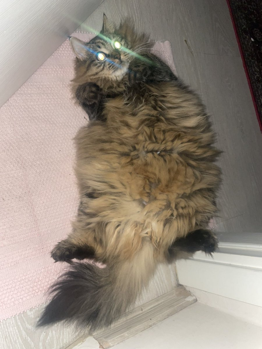 Göslerimden laser fırladıorm