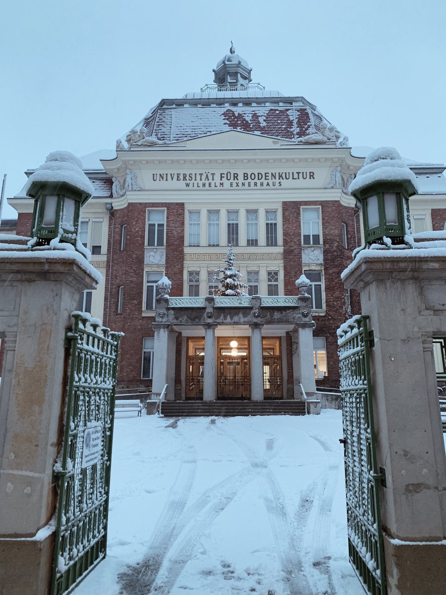 Happy Holidays! Die BOKU wünscht euch erholsame Feiertage 💫🤍.