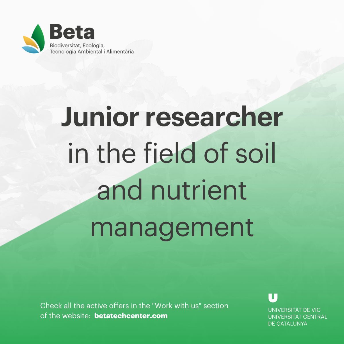 BETA_TechCentre's tweet photo. 📣  You have never had so many opportunities to work with us!

➡️  We are looking for researchers and technicians to work in the fields of sustainability assessment, governance, wastewater treatment and soil management. 

Apply here:
https://t.co/fdegmWGLC8 https://t.co/dm3ZJ9luSg