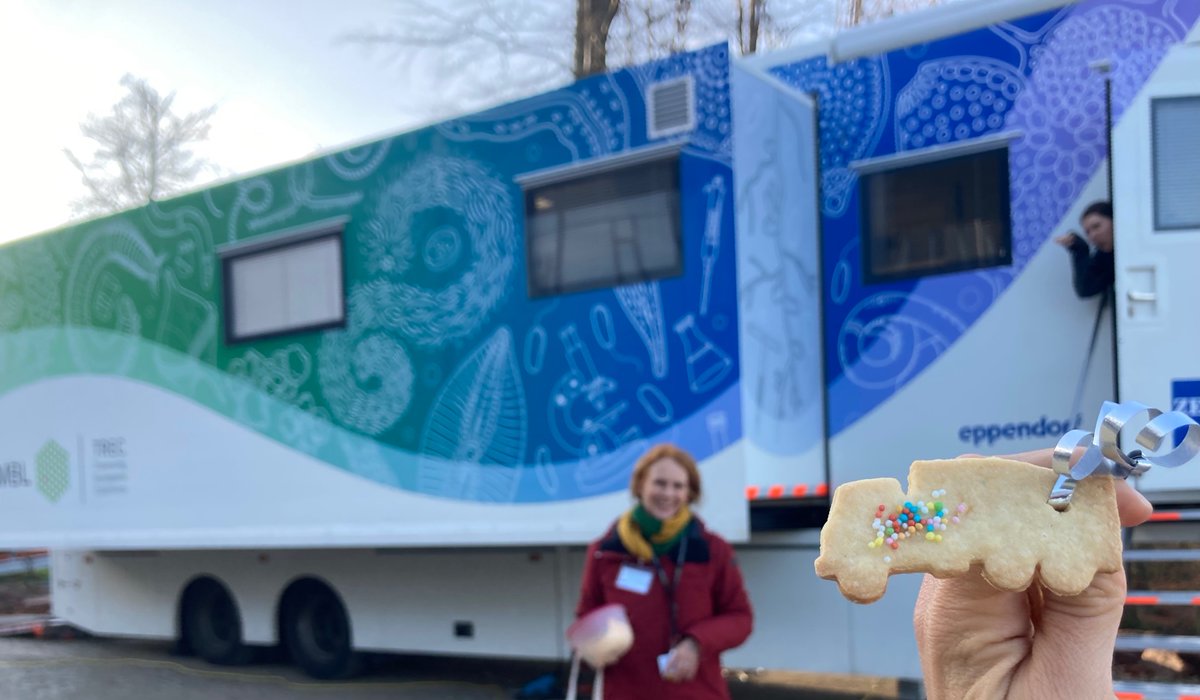 Tinadynamics tweet media