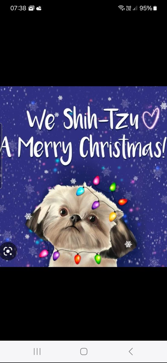 Wishing all my pals a Great Christmas and to say THANK YOU for me cards. Thought that me would not get any this year, so I apologize for not sending. Love you all 🧡🧡🧡🧡🧡🧡