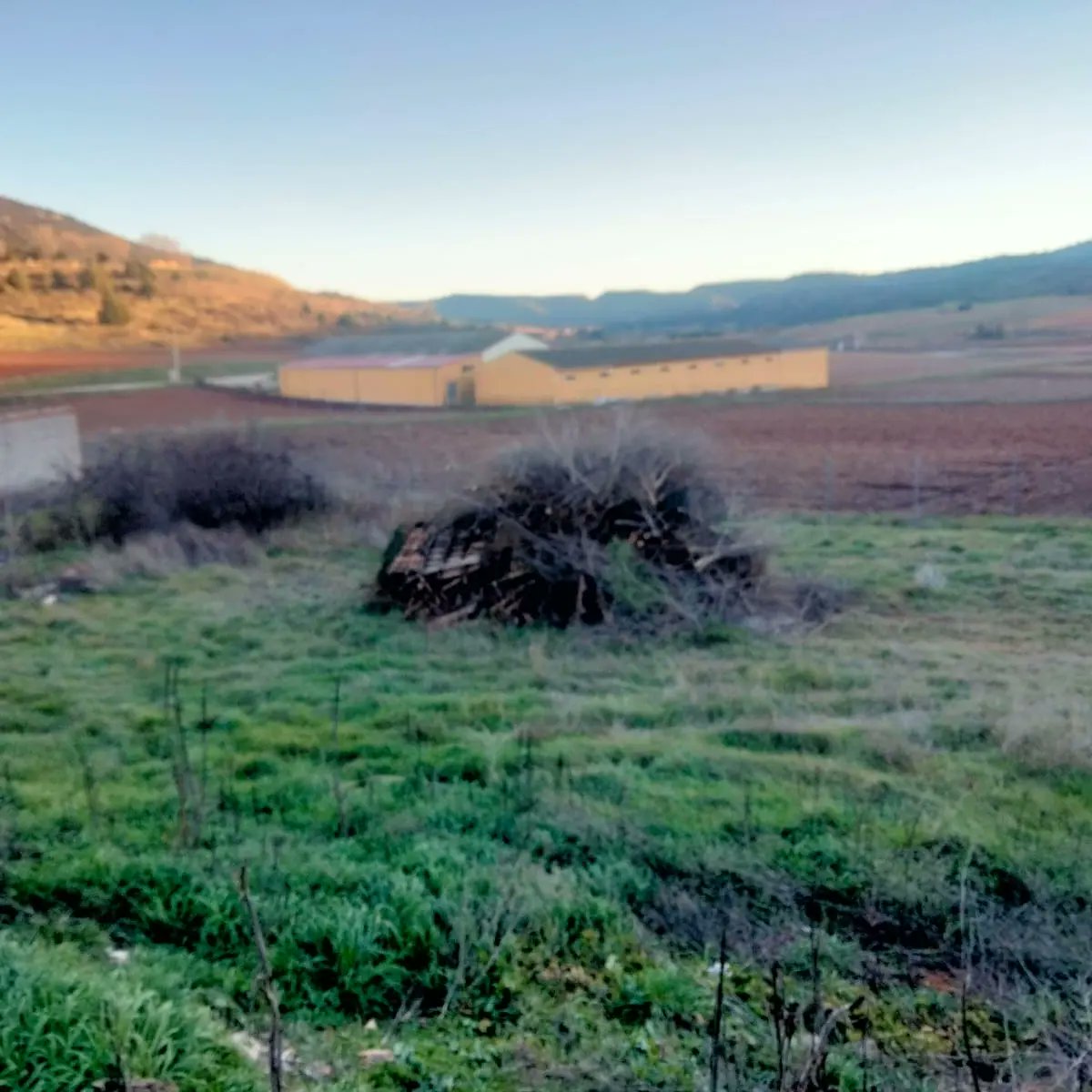 ¡Ya está preparado! Mañana a las 18:30 encenderemos nuestra tradicional hoguera de Nochebuena. Os esperamos a todos para disfrutar de este acto que tanto nos gusta. Además, lo acompañaremos con unos dulces navideños y brindaremos por estos días tan especiales.