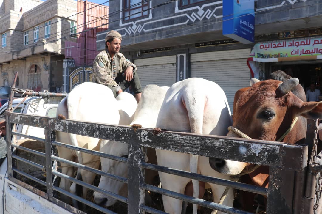 محمد حسين المقدشي Mohammed H Almgdashy tweet media