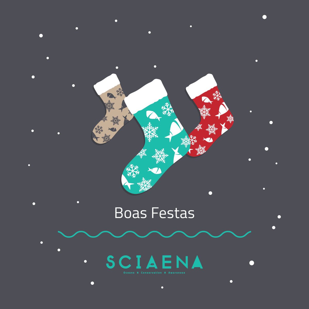 Sciaena_NGO's tweet image. Happy Holiday season from all of us at Sciaena. ☃️🪸🎄

A equipa Sciaena deseja-vos Boas Festas. ☃️🪸🎄