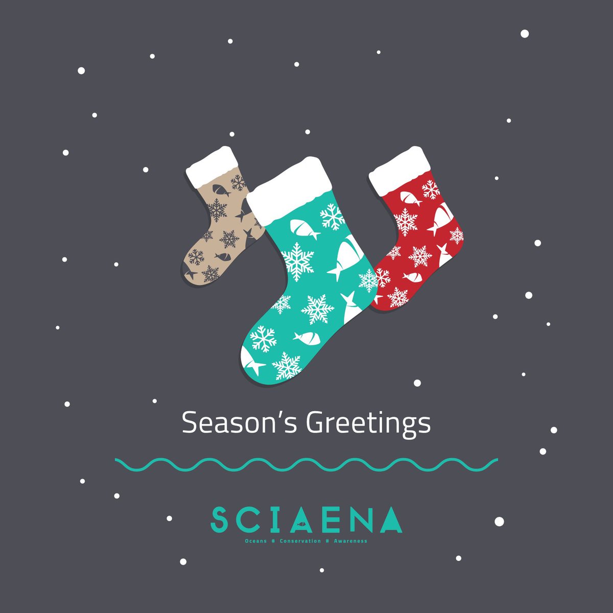 Sciaena_NGO's tweet image. Happy Holiday season from all of us at Sciaena. ☃️🪸🎄

A equipa Sciaena deseja-vos Boas Festas. ☃️🪸🎄