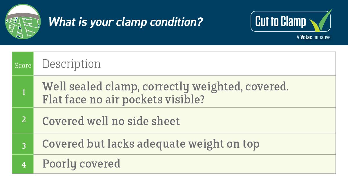 Silage Assessment - Clamp Condition Score 🌱🐮
Assessing silage is crucial for ensuring proper nutrition, animal health, and farm efficiency. 

Do you know your clamp condition score? Find out now! ⬇️ 

🌐 bit.ly/3TEBKnw #SilageAssessment #Nutrition #AnimalHealth