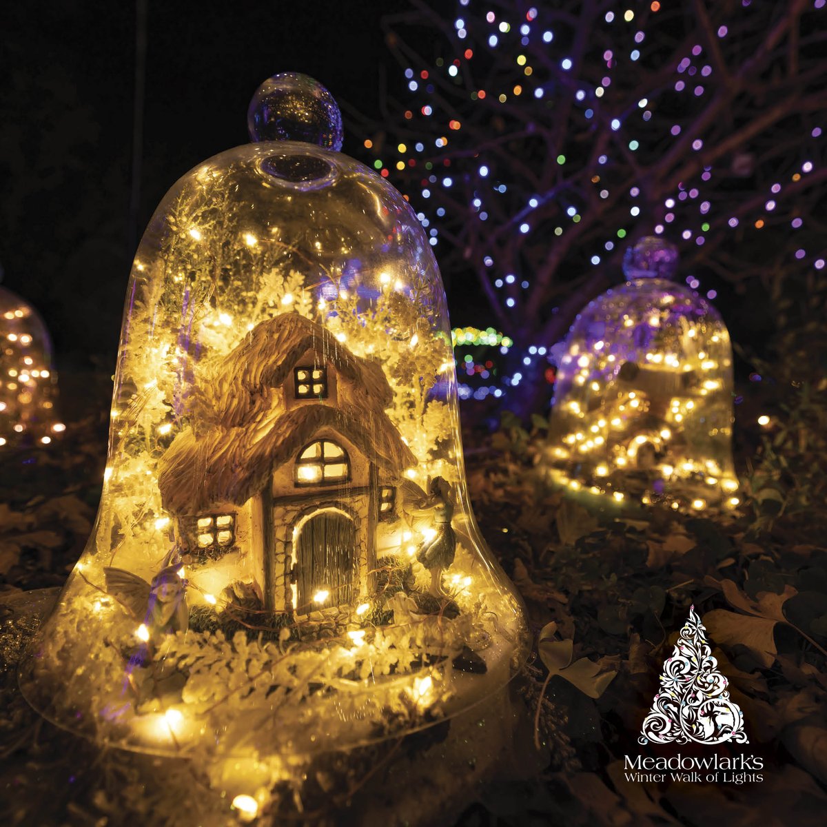 Uncover the magic of the holidays at Meadowlark's Winter Walk of Lights. Kids can discover the unexpected in an enchanting fairy garden or with a nature-themed light scavenger hunt.  

Tickets must be purchased online in advance. 

Tickets:  ow.ly/83qs50QkCha