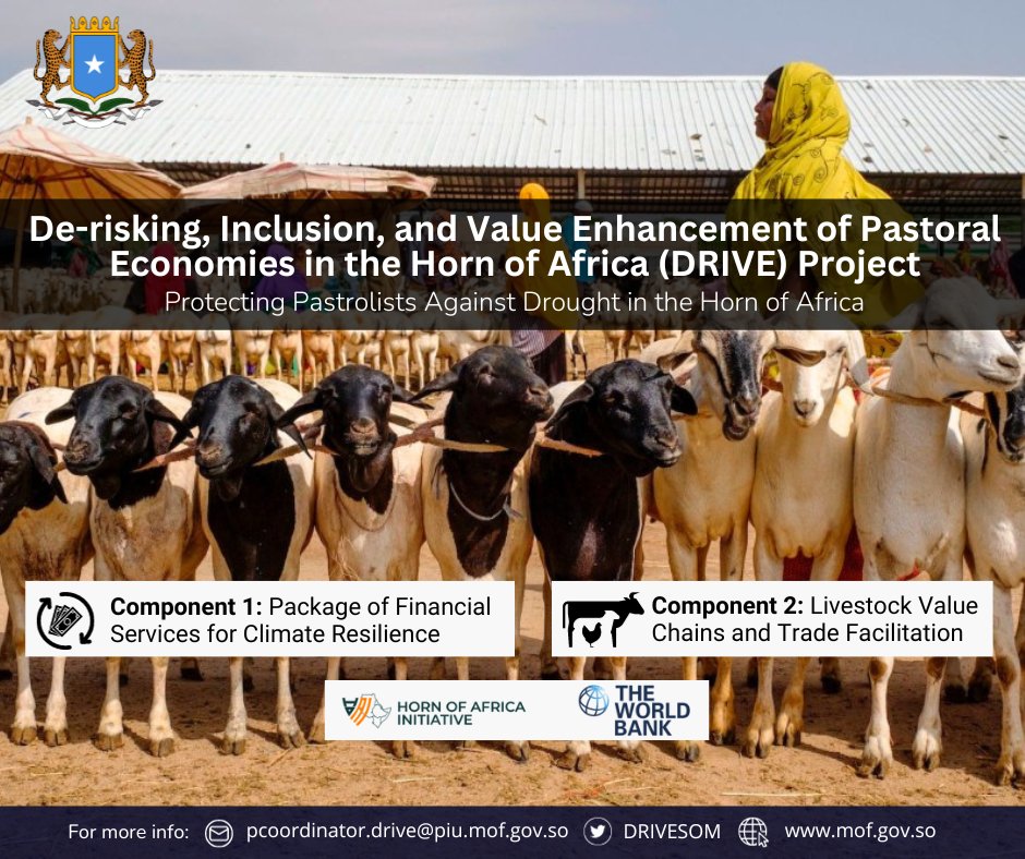 HoA DRIVE Somalia tweet media