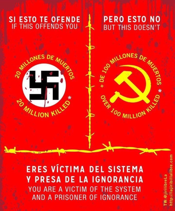 𝗟𝗘𝗞 tweet media