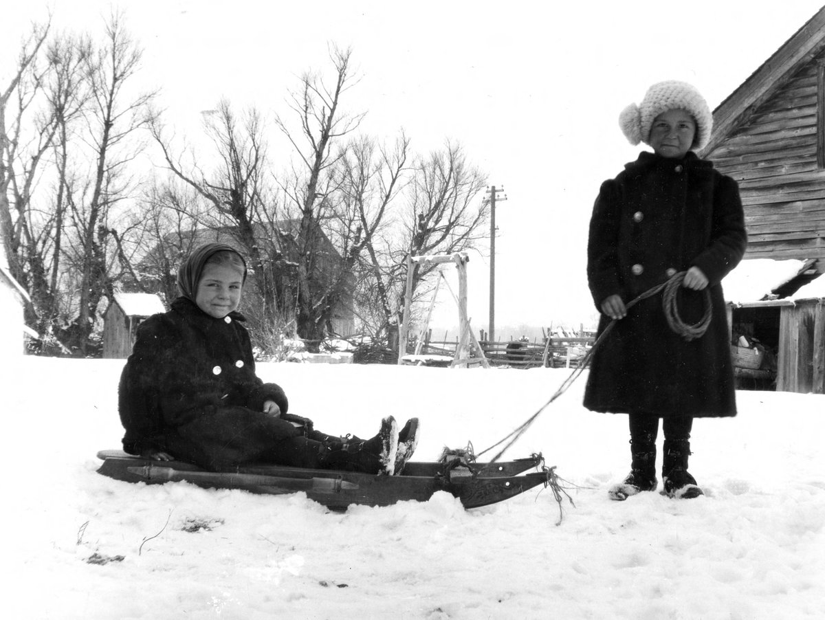 Better Days tweet media