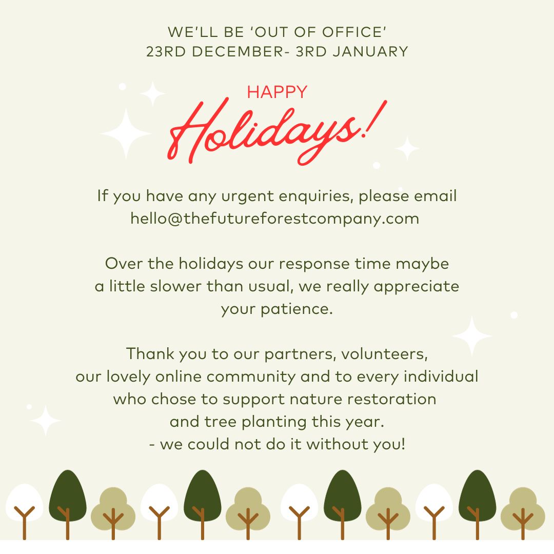 🎄Wishing you a tree-mendous Christmas! 🎅Thank you to our partners, volunteers, our lovely online community and to every individual who chose to support nature restoration and tree planting this year - we could not do it without you!