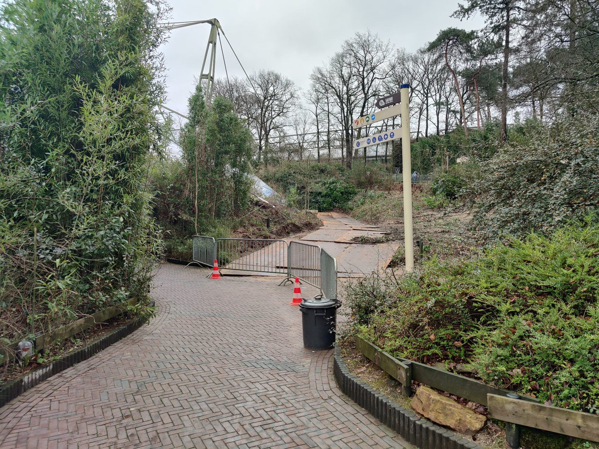 ZooinsideNL tweet media
