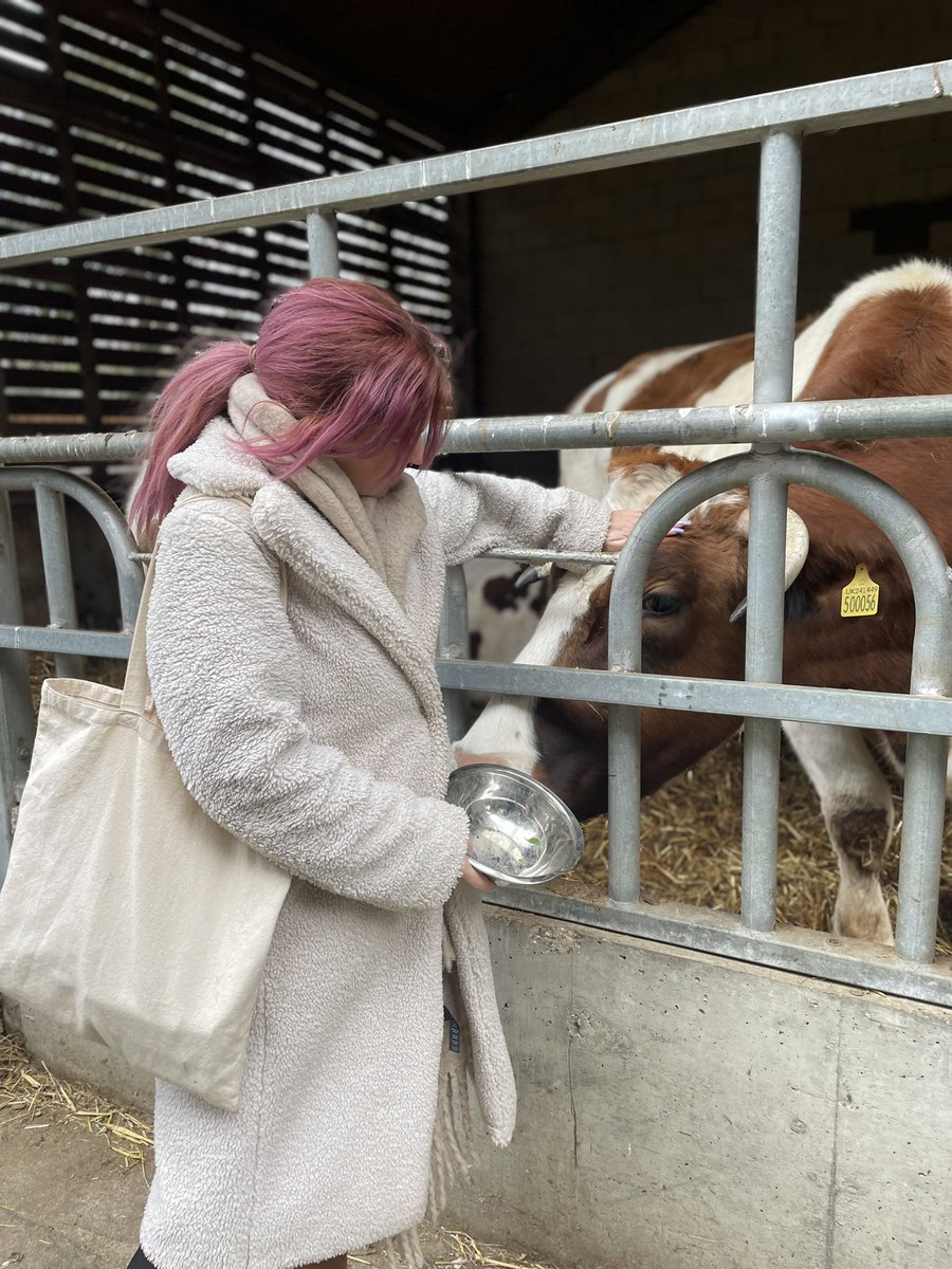 poppygibsonuk's tweet image. Precious afternoon feeding the sacred cows at New Gokul Farm @ISKCON_Manor 🐄 🖤 🤍