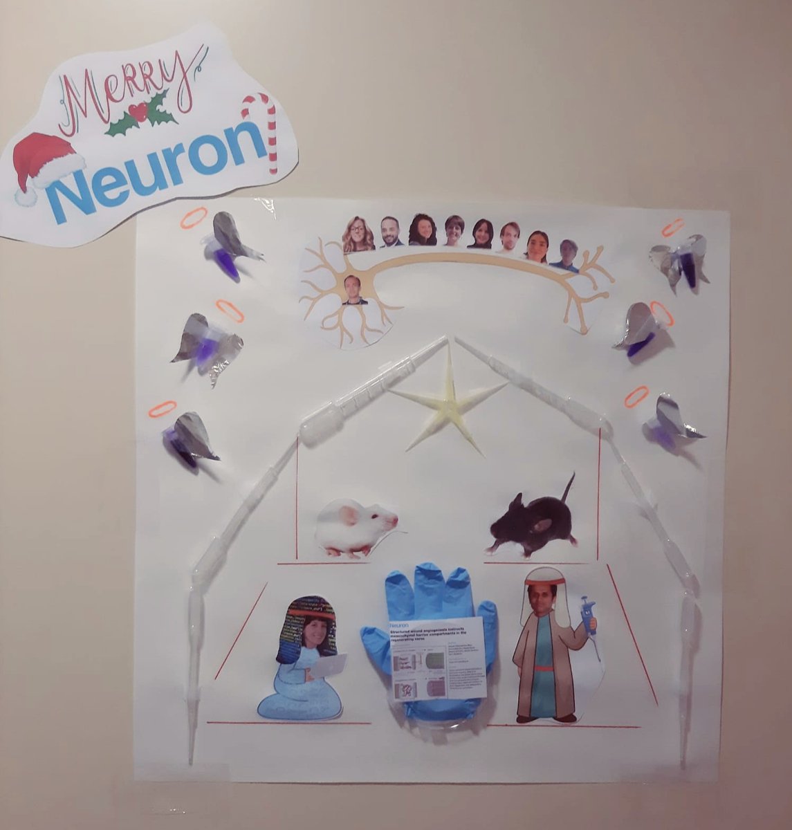 ⛄💫Happy CELLebrations!  🎁🌠 Artwork by Dario Bonanomi's Lab. 🎅🌲<a href="/NeuroCellPress/">Neuron</a> <a href="/GaneshB31904386/">Ganesh Bhat</a>