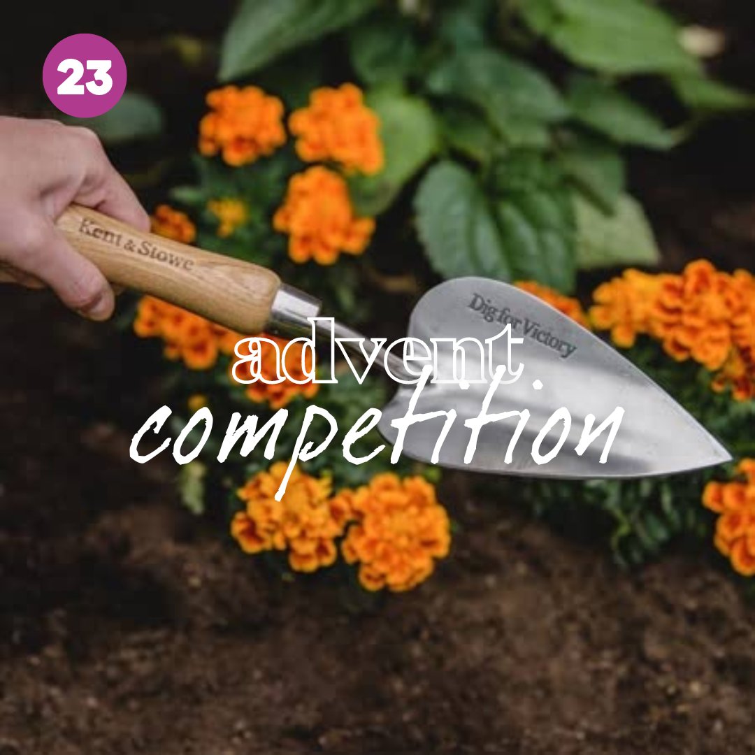 Enter today for your chance to win a Kent & Stowe Heart Shaped Trowel 😍 

✔️ Follow us
❤️ Like his post
👭 Tag your friends


*T&Cs apply

#win #advent #giveaway #christmascompetition #christmasgiveaway #competition #giveawaytime #prizes #competitiontime