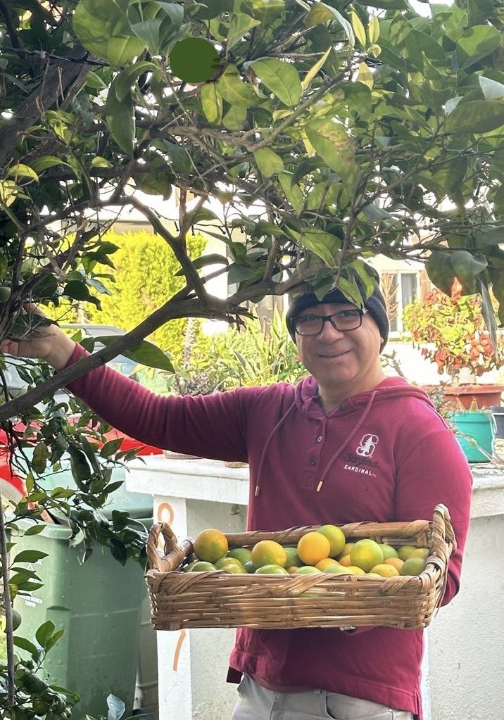 eleazarbar's tweet photo. Harvesting oranges from my garden to prepare a juice rich in vitamin C to strengthen the immune system. https://t.co/y5QHF4e7Y1