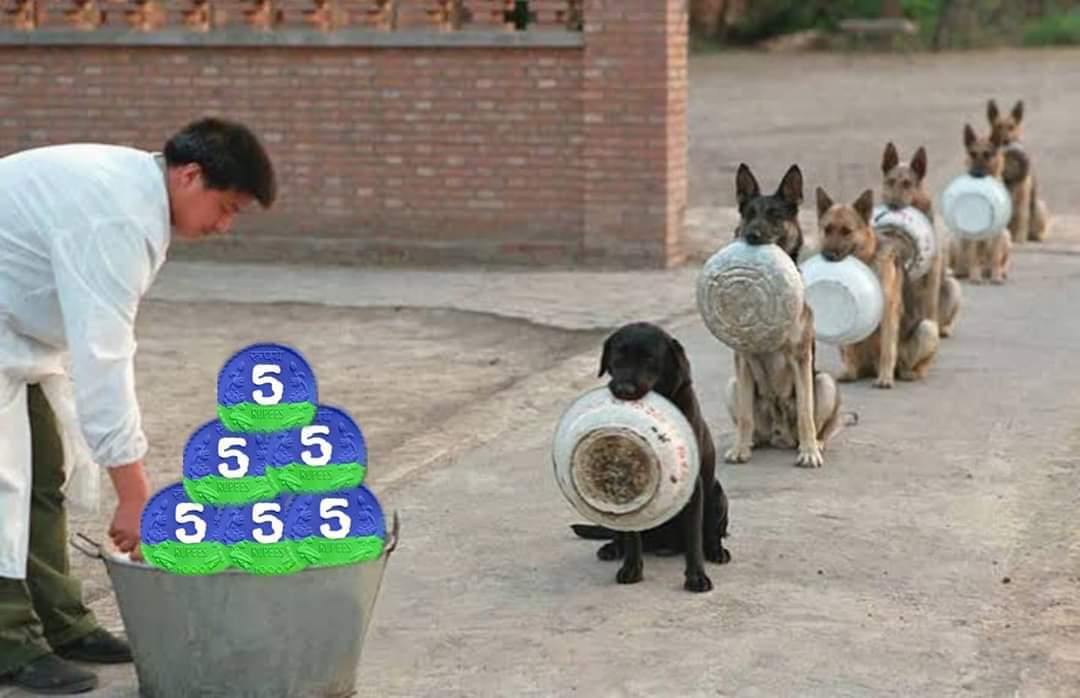 GCC5dI-WcAA_hW_?format=jpg&name=medium