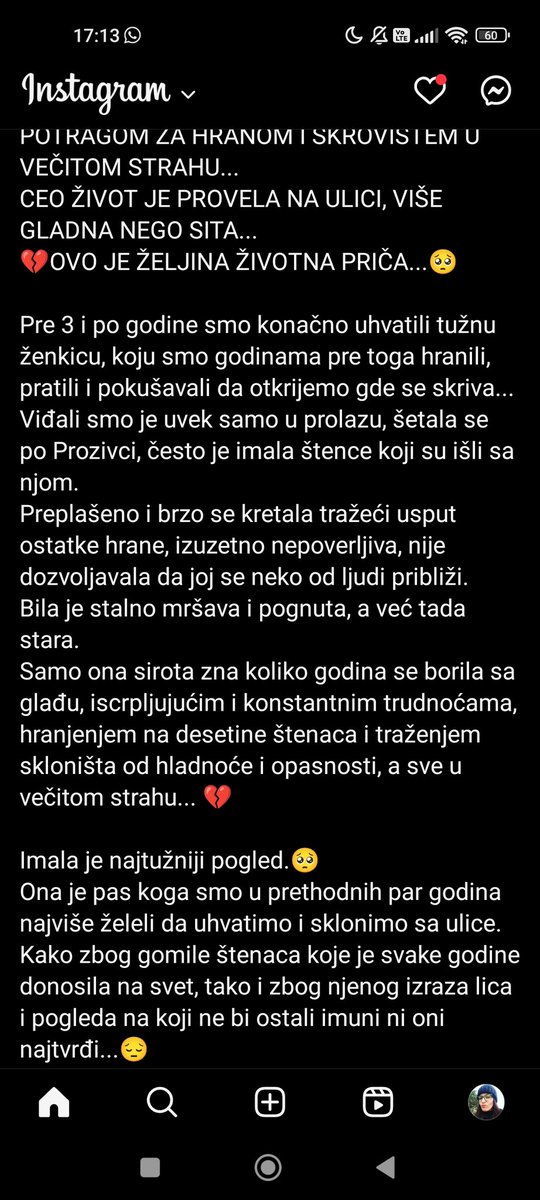 SanjaŽ tweet media