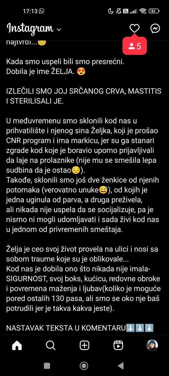 SanjaŽ tweet media