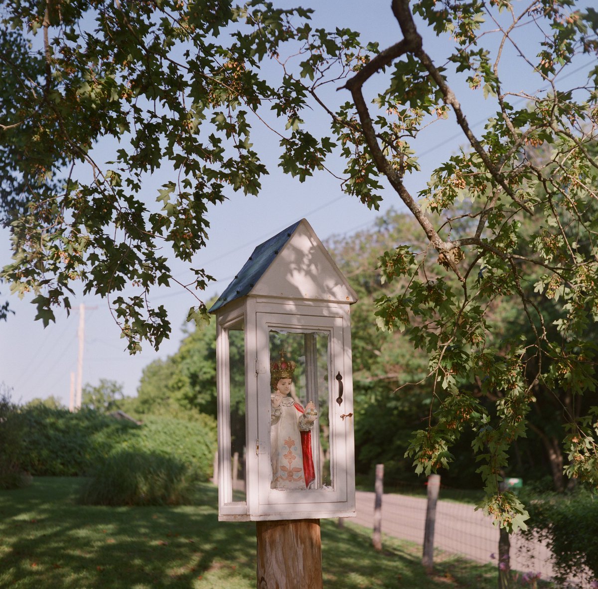 Some recent film photography. 

#filmphotography #StLouis #StLouisPhotography #stlphoto #StLouisphotographer #Kodak #Fujifilm