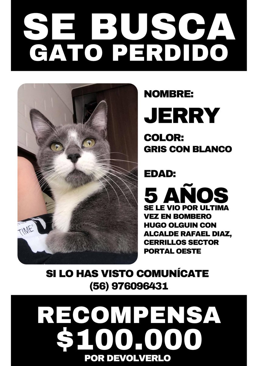 AYUDA!
Por favor dar rt 🙏🏻
#gatosperdidoschile #gatosextraviados #gatosperdidossantiago #cerrillos #gatosextraviadossantiago #gatosperdidos #gatitoextraviado #gatossantiago #portaloeste