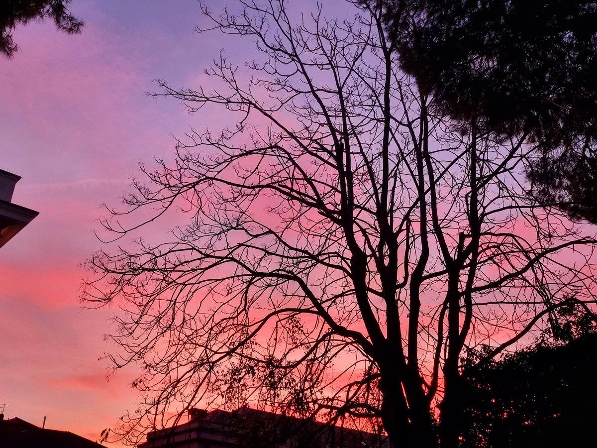 Ultimamente solo tramonti rosa 🩷