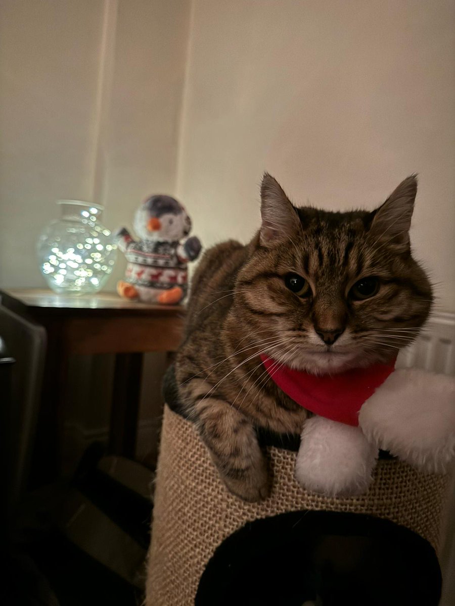 Marie Moran tweet media