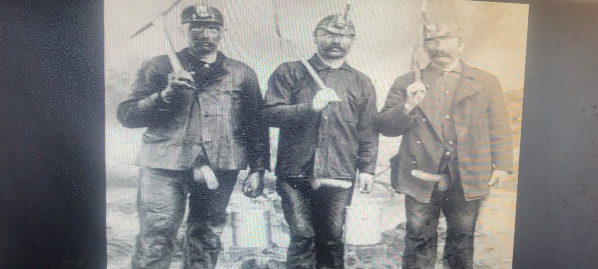pureguava10300's tweet photo. Plus pornographic images of miners! #SouthPark #NotSuitableForChildren https://t.co/cIl923kZX2