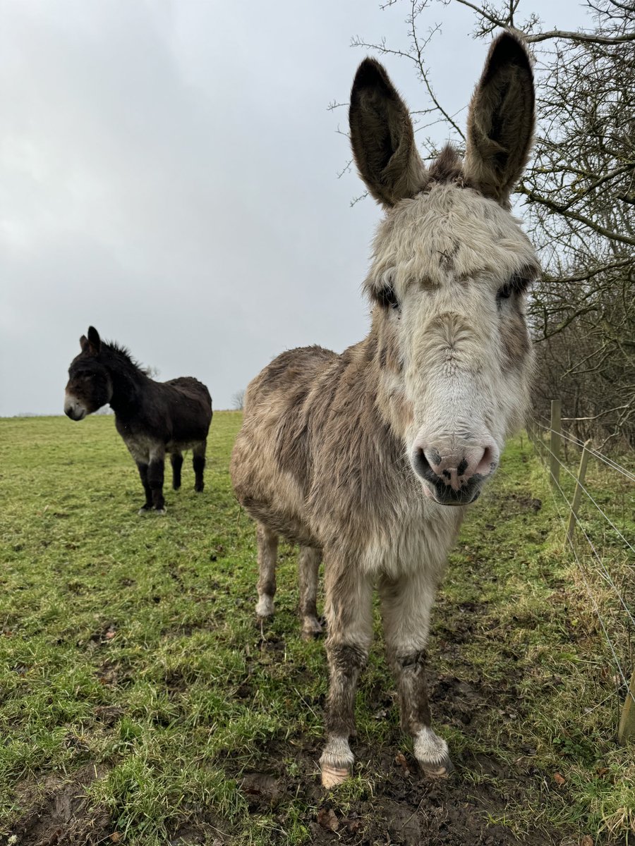 Caspar and Jose are thinking of starting a band.