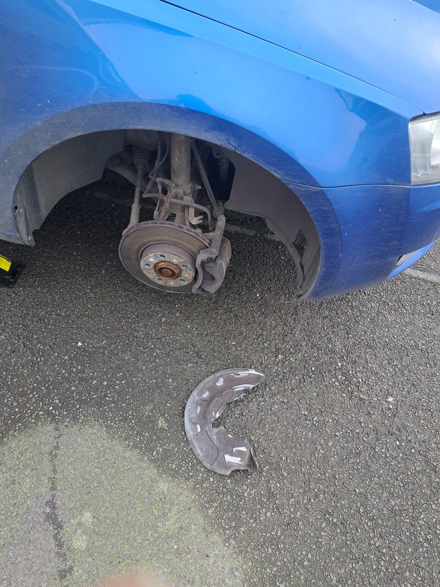 Lexutavia 🎮 tweet media