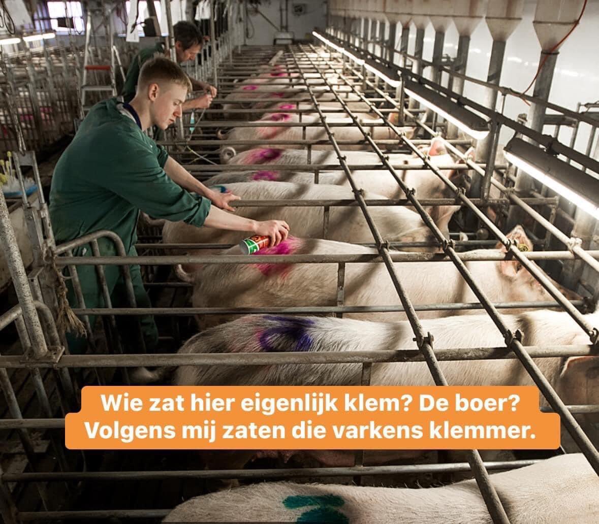 Schrijvers over Nederland: 
‘Wie zat hier eigenlijk klem? De boer? 
Volgens mij zaten die varkens klemmer’.
volkskrant.nl/boeken/schrijv…