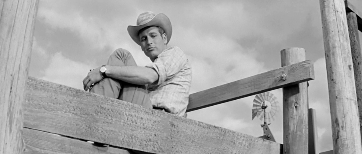 elpelicultista's tweet photo. HUD (Martin Ritt. 1963) https://t.co/6TPgWBMkMt