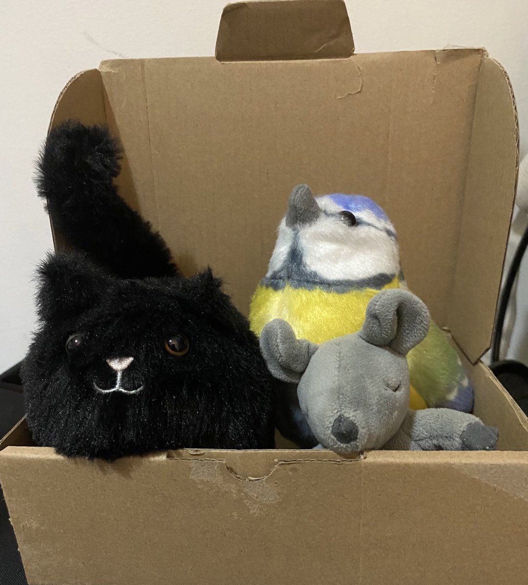 🐭 Hallo Freunde! Die #ReiseMeise und ich sind so aufgeregt! Morgen früh fahren wir nach Sydney um Weihnachten beim Tante Ejays Eltern zu feiern. Die liebe Kat kommt auch mit 🥰