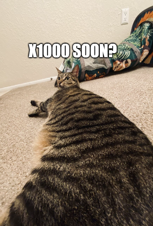 JCIRcrypto's tweet photo. seems catish? @LongAhhCat https://t.co/12P3Pah0HS