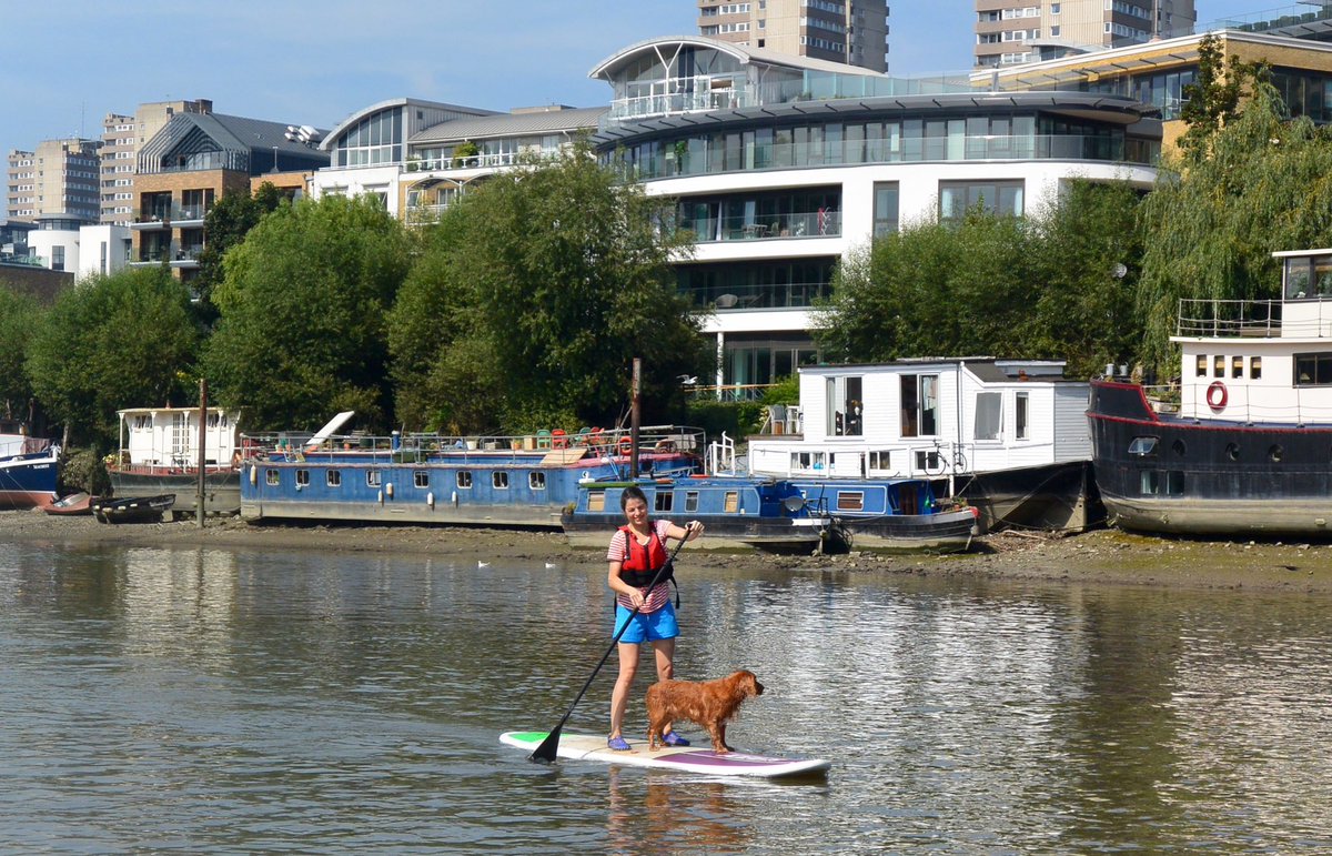 360 Doggy Paddles 🐾🦴 Taking your best friend on water with you is an amazing experience. Most dogs enjoy sharing a paddle and meeting other dogs. Dog + human sessions are an ideal gift for dogs and their humans so if you know a water happy dog check out our website