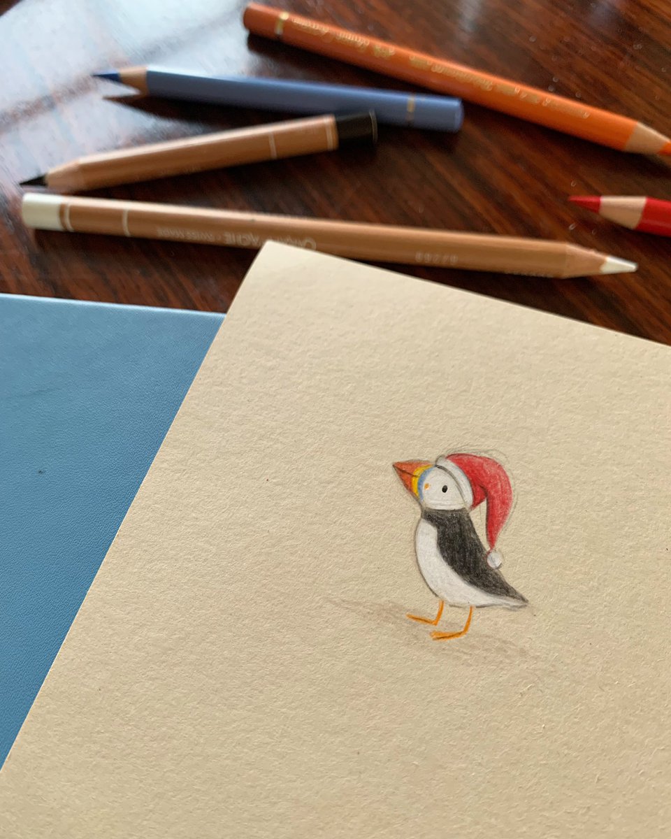 ✨A reminder that puffins are for Christmas, not just for life ✨