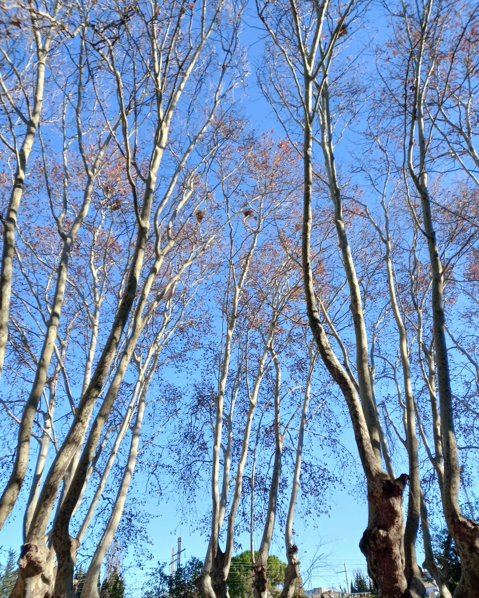 Great Day ☀️🌾💫😀❤️🙏