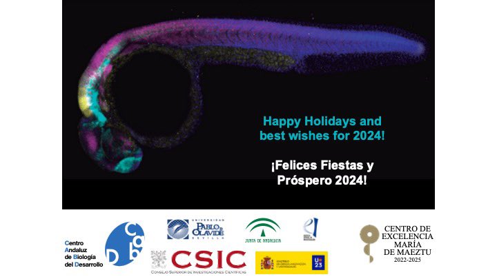 Desde el #CABD os deseamos Felices Fiestas y los mejores deseos para 2024 con la imagen ganadora de nuestro concurso de fotos científicas! We wish you happy holidays &amp; best wishes for 2024 from the #CABD with the winning picture of the ‘Scientific Photo Contest’! 📸<a href="/MorenoOnate/">Marta Moreno Oñate</a>