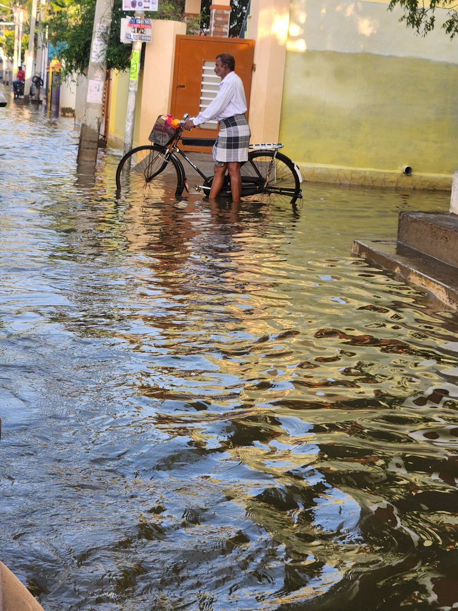 svembu's tweet photo. I visited Seva Bharati volunteers in Thoothukudi today. The org has 1000 volunteers here working day and
night all week. Even today, there is still a lot of water in many neighborhoods, and I even found a dead calf on the street.

I salute the selfless volunteers. Let's donate 🙏 https://t.co/DihfBdAhyX