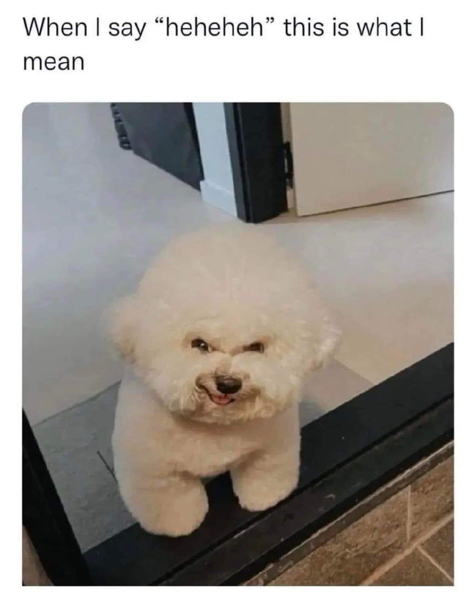 chu (@chubs49) on Twitter photo 