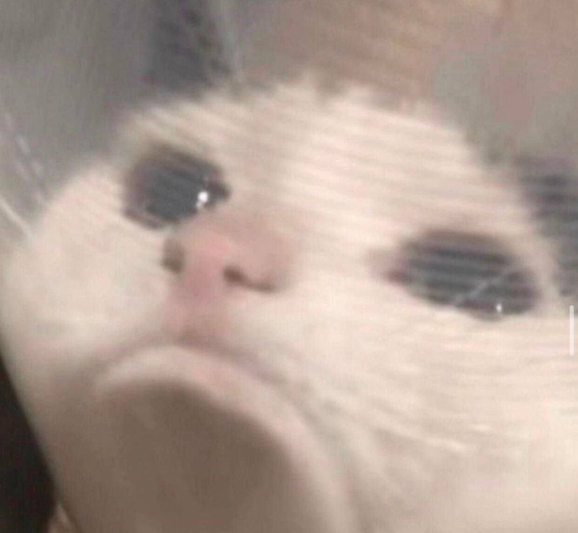 CB97ART's tweet image. 